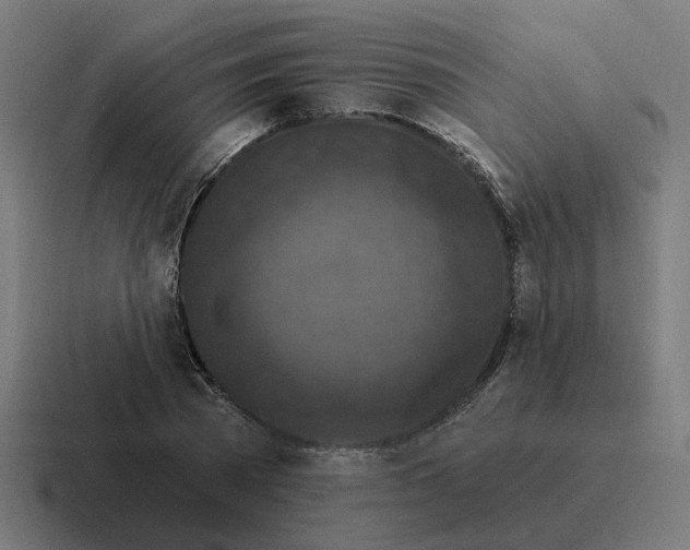 X0000116790785200912311916