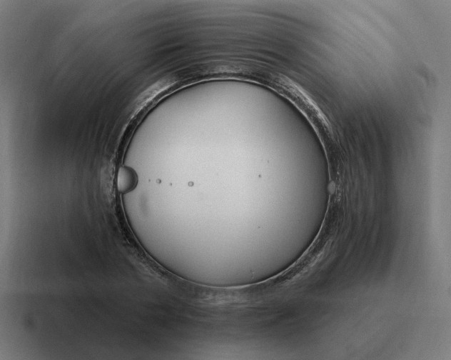 X0000116790786200912311916