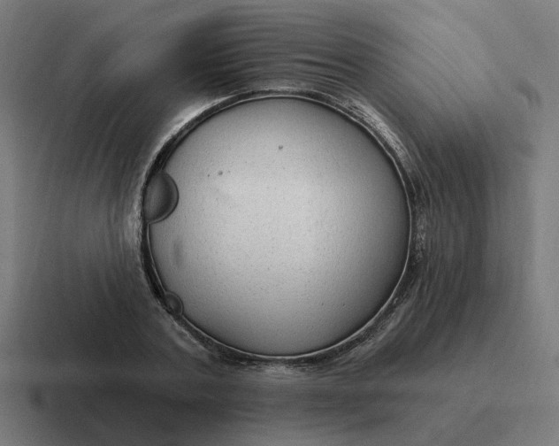 X0000116790787200912311916