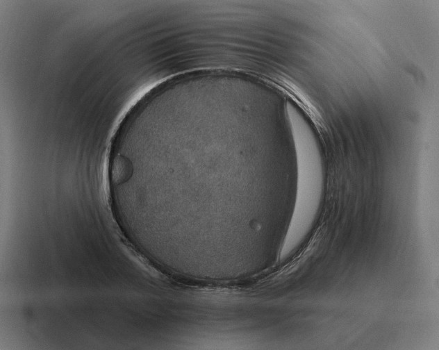 X0000116790788200912311916