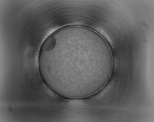 X0000116790789200912311916