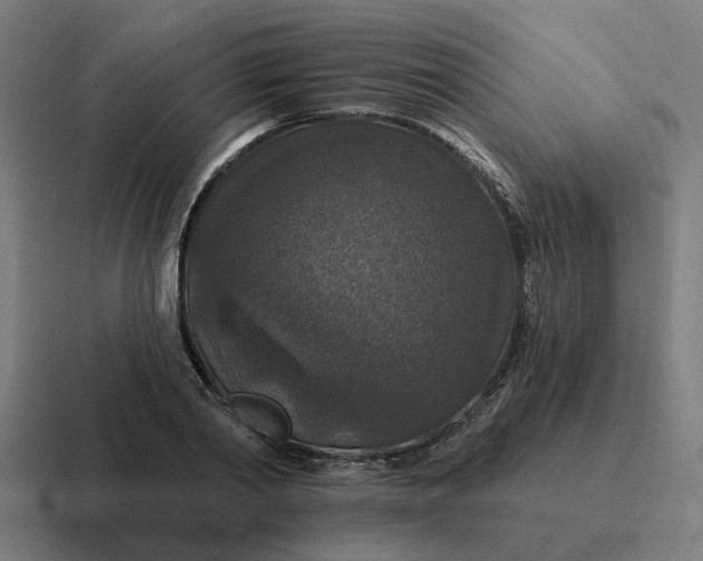 X0000116790790200912311916