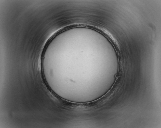 X0000116790791200912311916