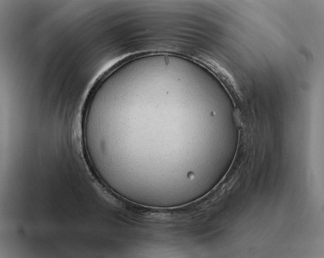 X0000116790792200912311916