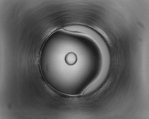 X0000116790793200912311916