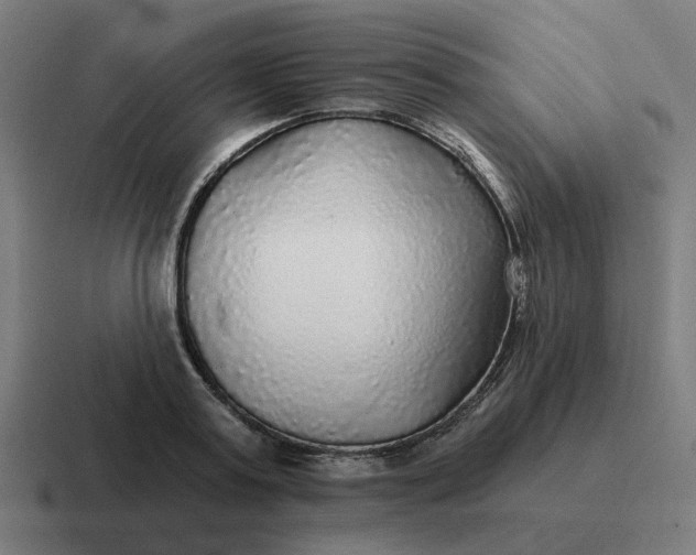 X0000116790795200912311916