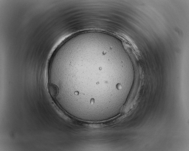 X0000116790796200912311916