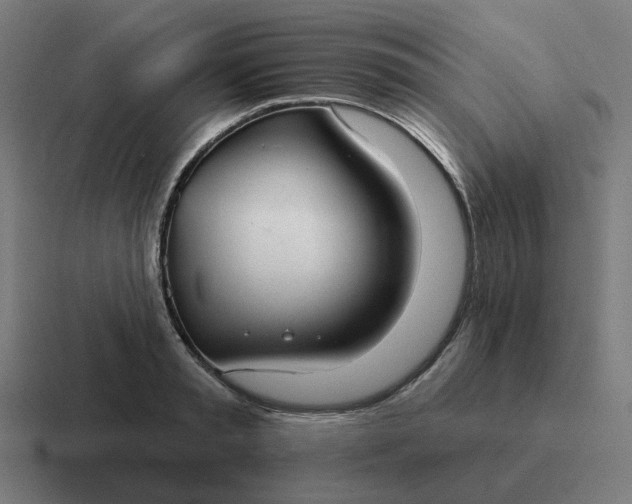 X0000116790797200912311916