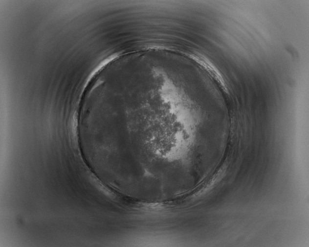 X0000116790798200912311916