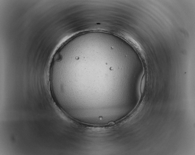 X0000116790800200912311916