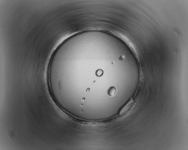 X0000116790803200912311916