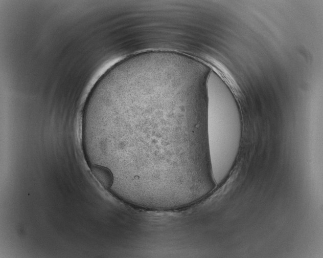 X0000116790804200912311916