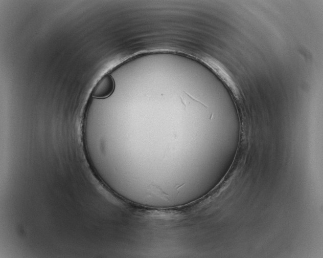 X0000116790805200912311916