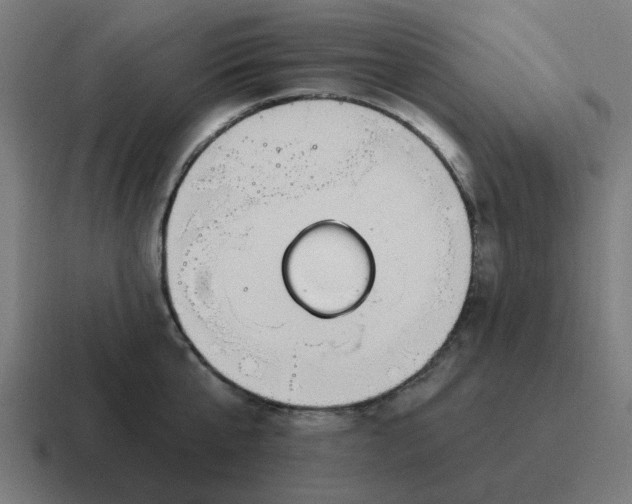 X0000116790807200912311916