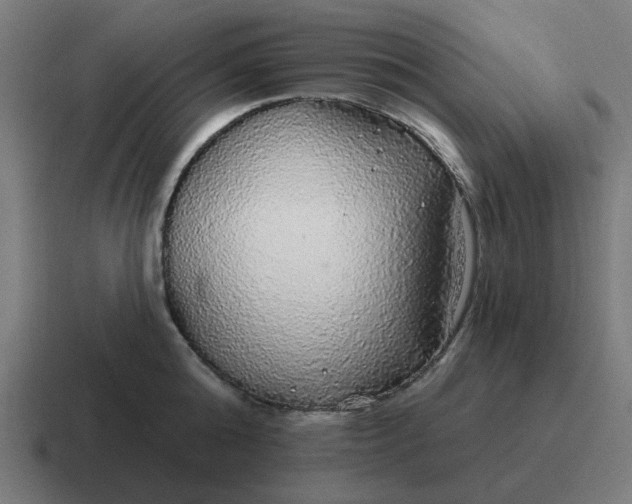 X0000116790808200912311915