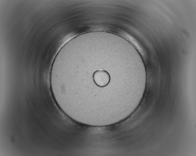 X0000116790810200912311915