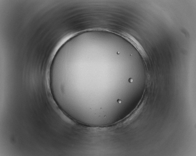 X0000116790812200912311915