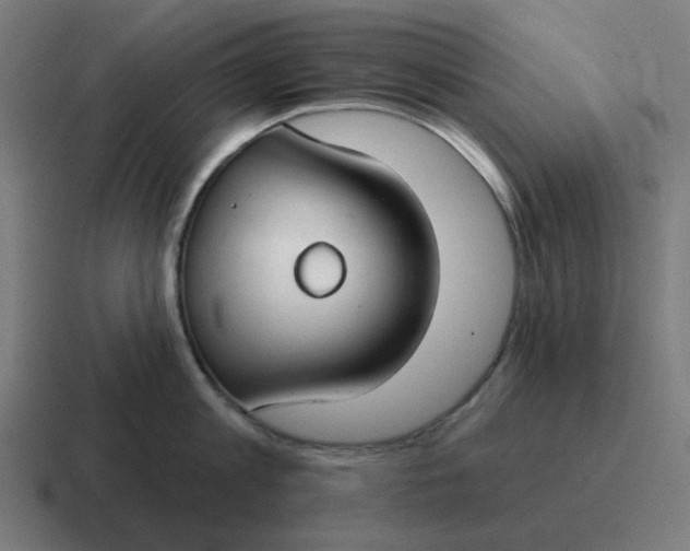 X0000116790813200912311915