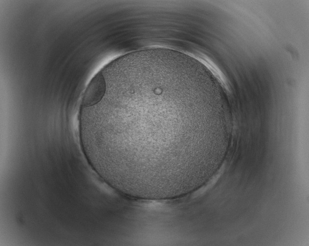 X0000116790814200912311915