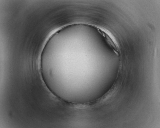 X0000116790815200912311915