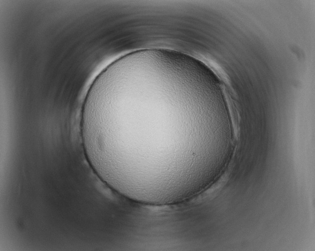 X0000116790816200912311915