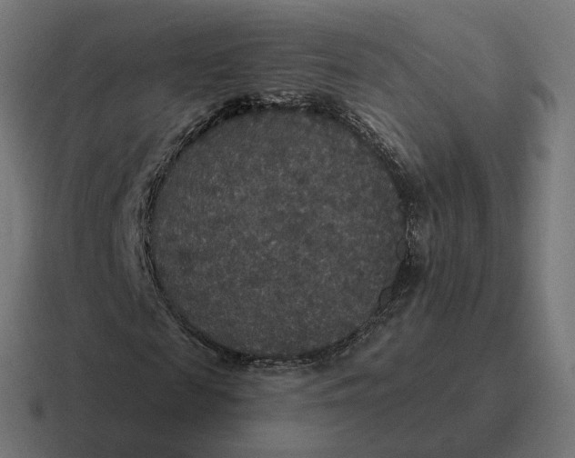 X0000116790817200912311915