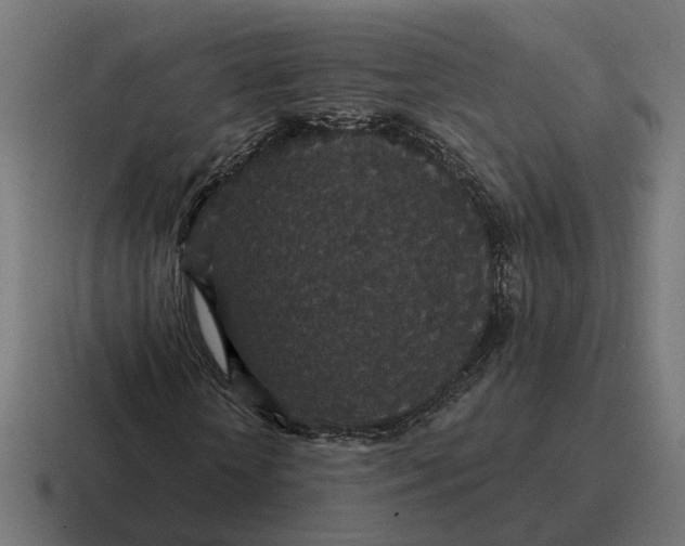 X0000116790818200912311915