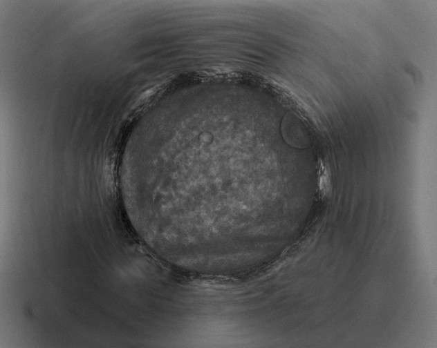 X0000116790819200912311915