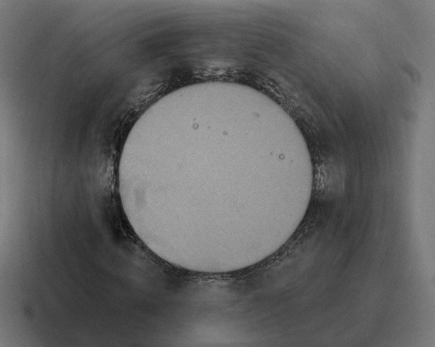 X0000116790820200912311915