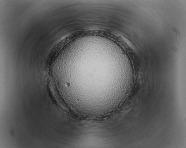 X0000116790821200912311915