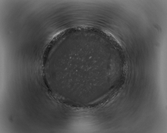 X0000116790822200912311915