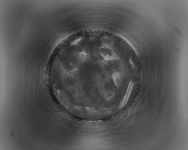 X0000116790823200912311915