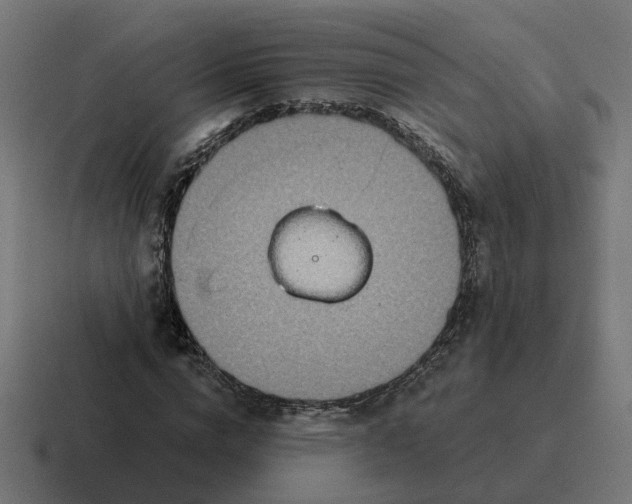 X0000116790824200912311915