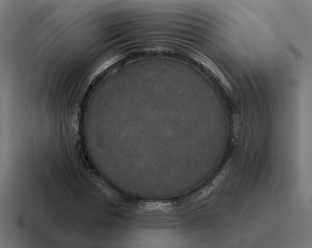 X0000116790826200912311915