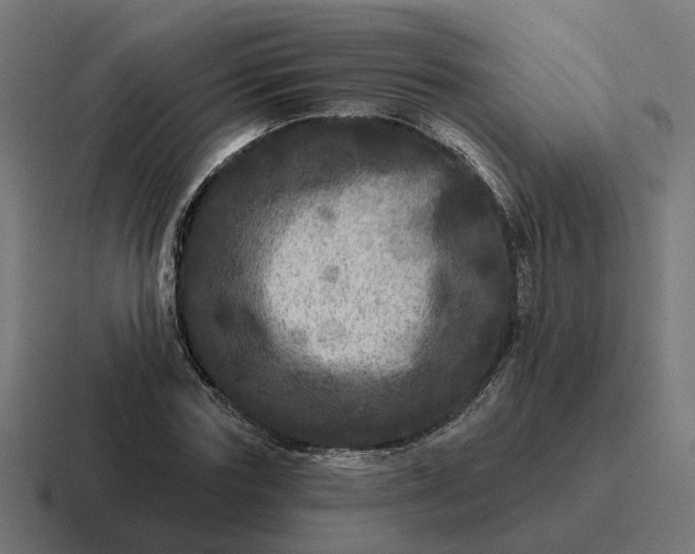 X0000116790827200912311915