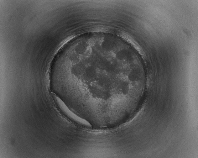 X0000116790829200912311915