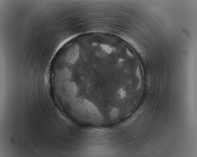 X0000116790830200912311915