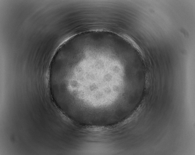 X0000116790831200912311915