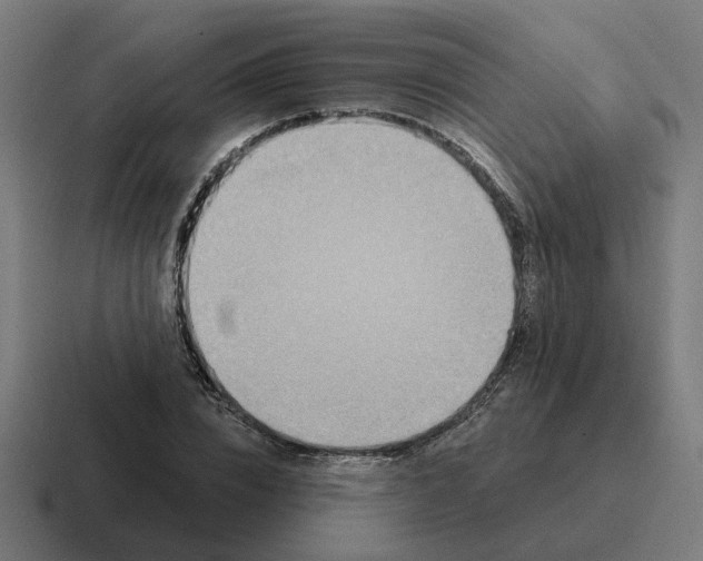 X0000116790832200912311915