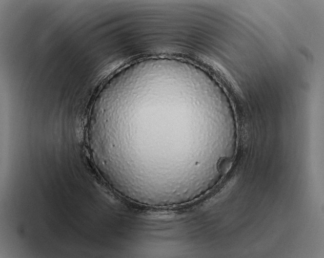 X0000116790833200912311915