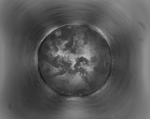 X0000116790835200912311915