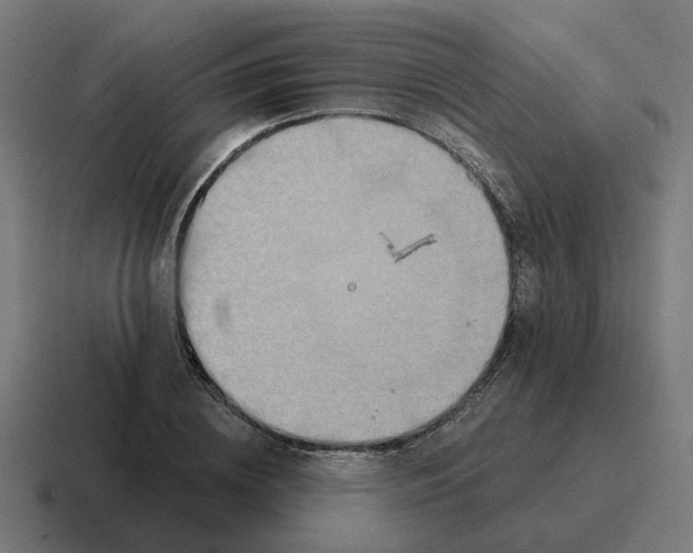 X0000116790836200912311915