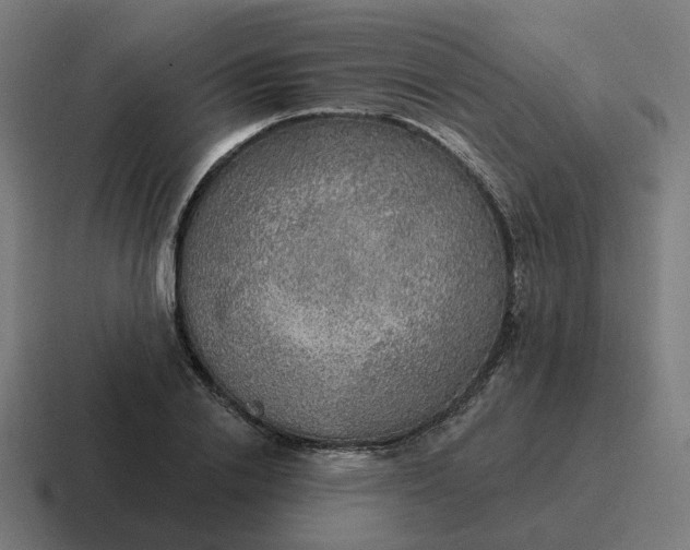 X0000116790838200912311915