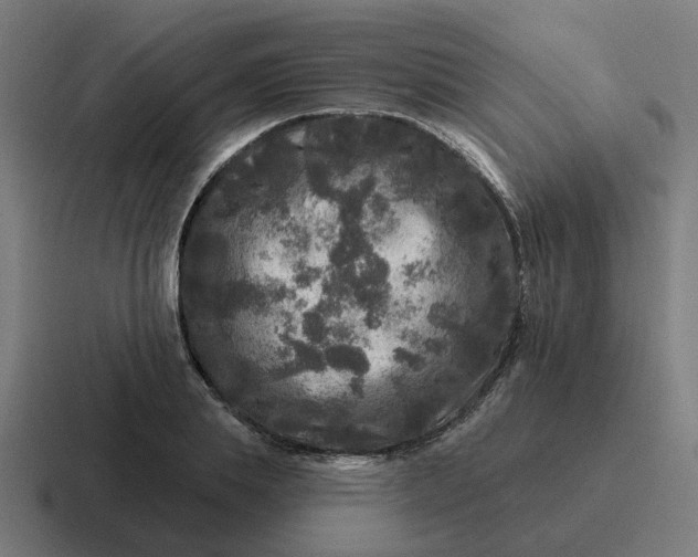 X0000116790839200912311915