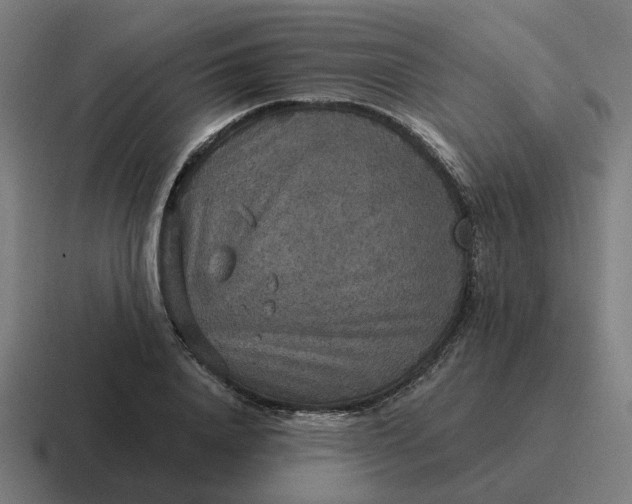 X0000116790840200912311915