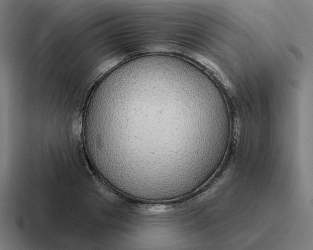 X0000116790841200912311915