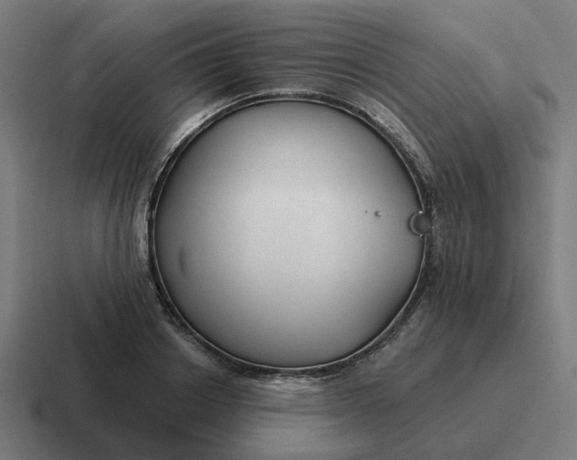 X0000116790842200912311915