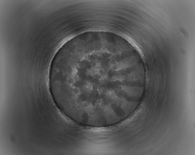 X0000116790845200912311915