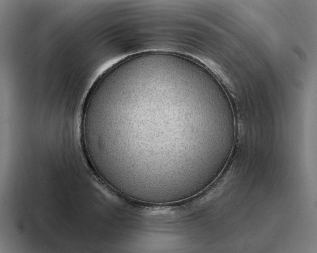 X0000116790846200912311915