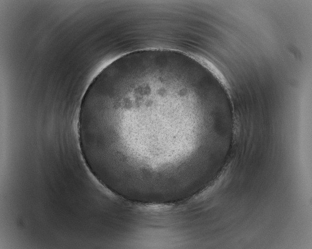 X0000116790847200912311915